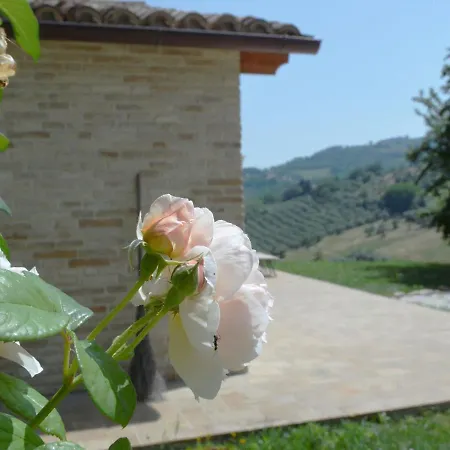 C Di Leo In The Hills Of *